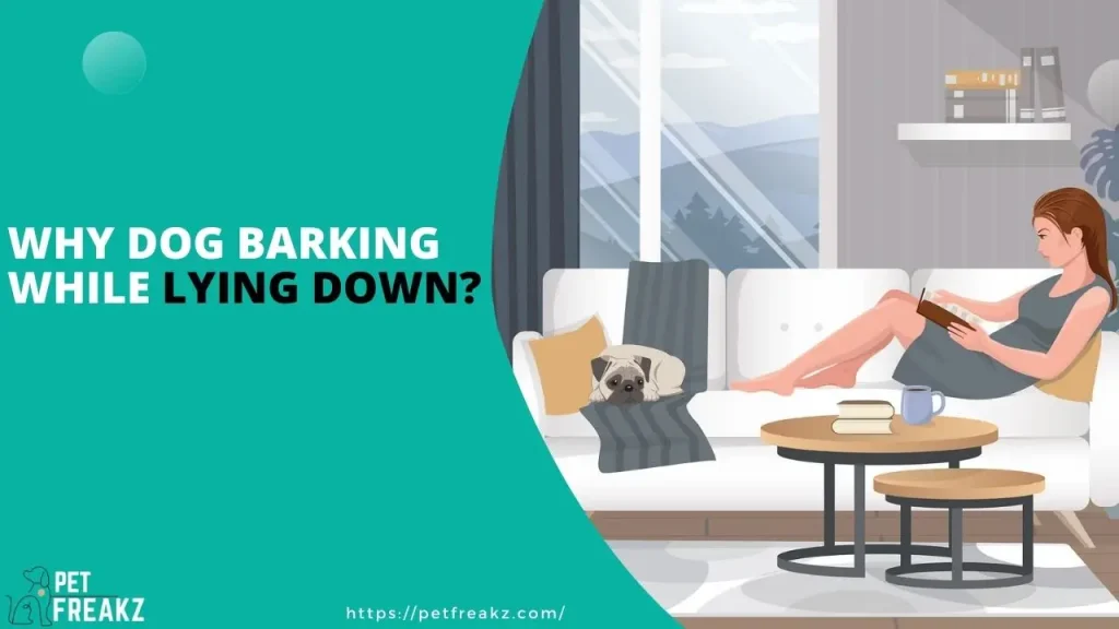 Why dog barking while lying down?