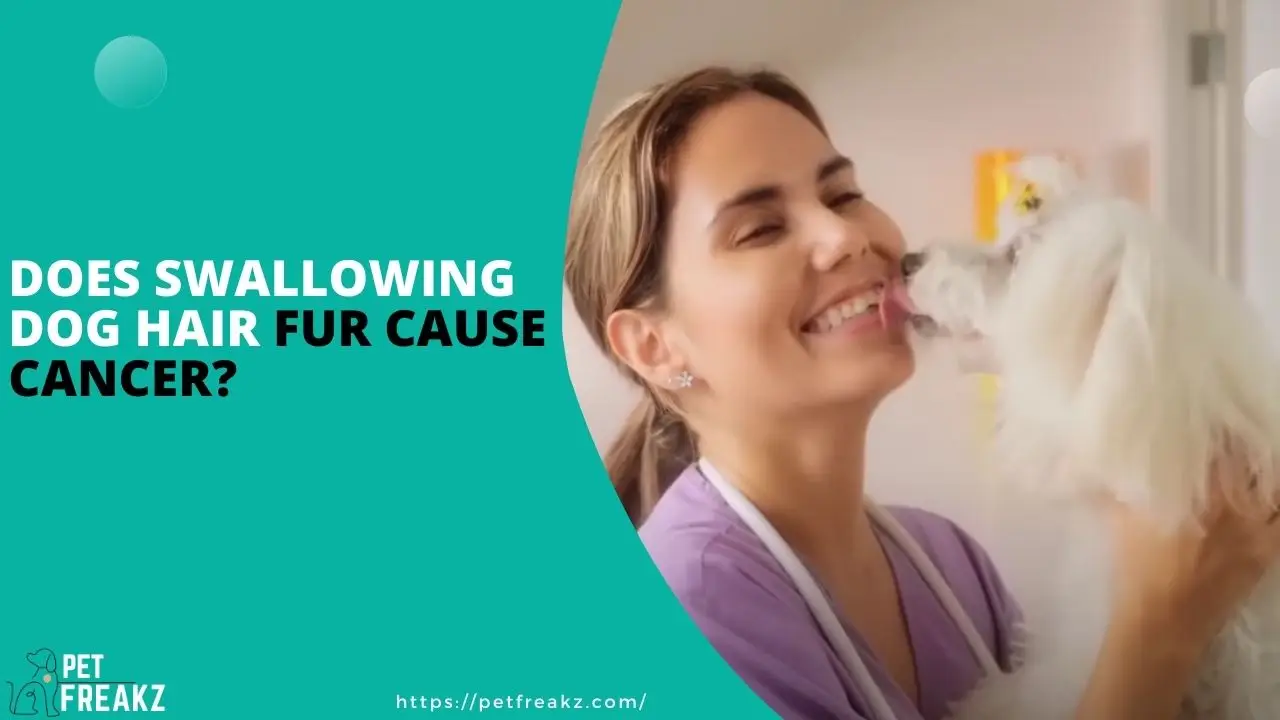 Does swallowing dog hair fur cause cancer?