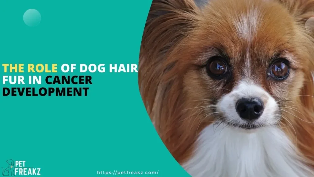 The Role Of Dog Hair Fur In Cancer Development