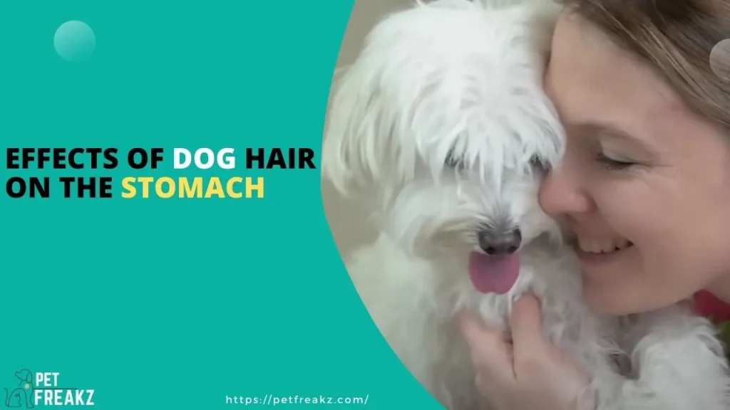 Effects of dog hair on the stomach
