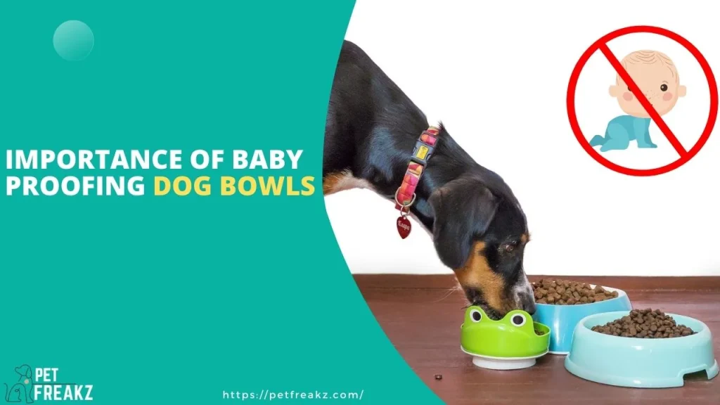 Importance Of Baby-Proofing Dog Bowls