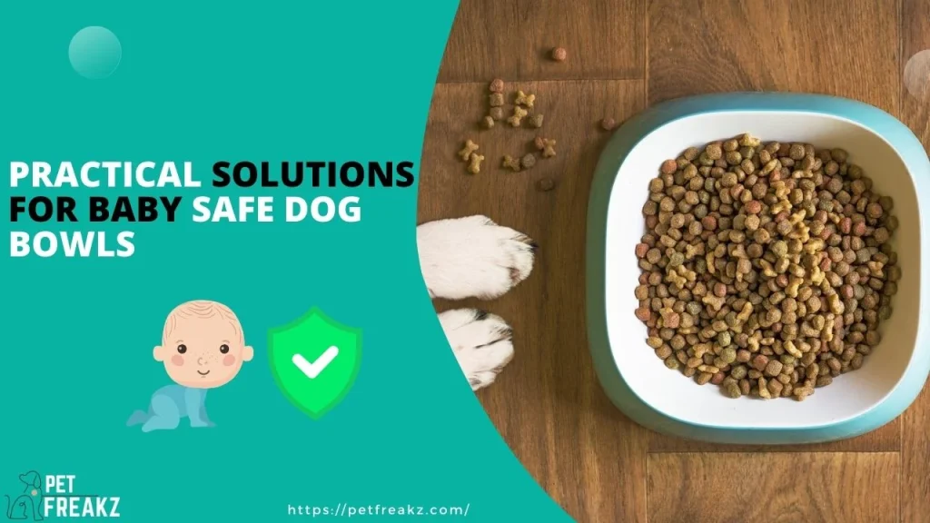Practical Solutions For Baby Safe Dog Bowls