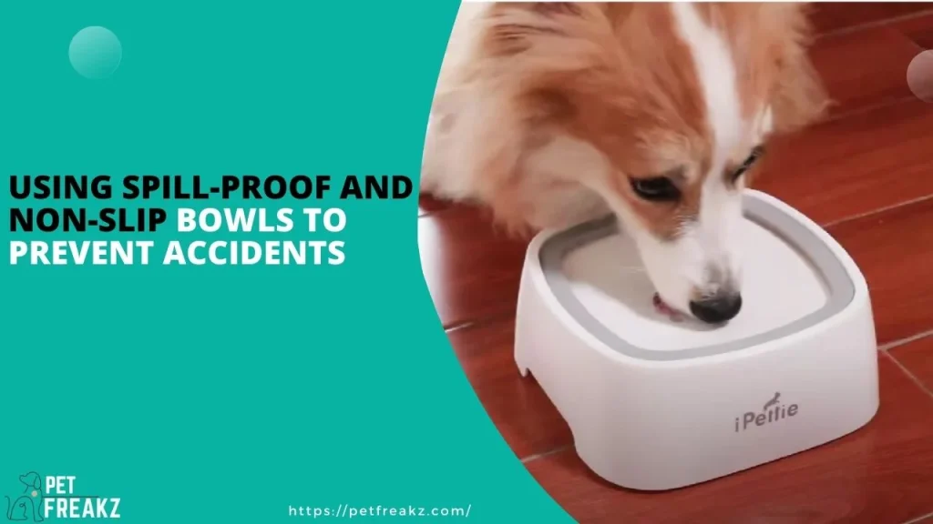 Using Spill-Proof And Non-Slip Bowls To Prevent Accidents