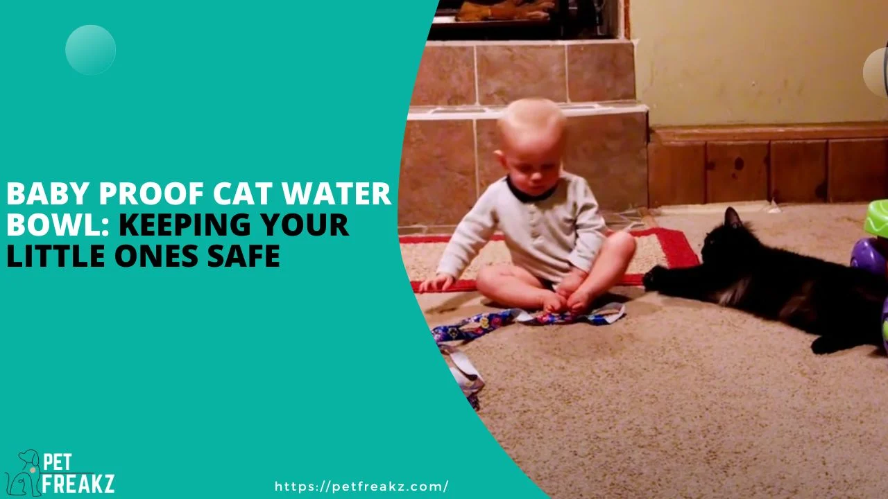 Baby-Proof Cat Water Bowl: Keeping Your Little Ones Safe
