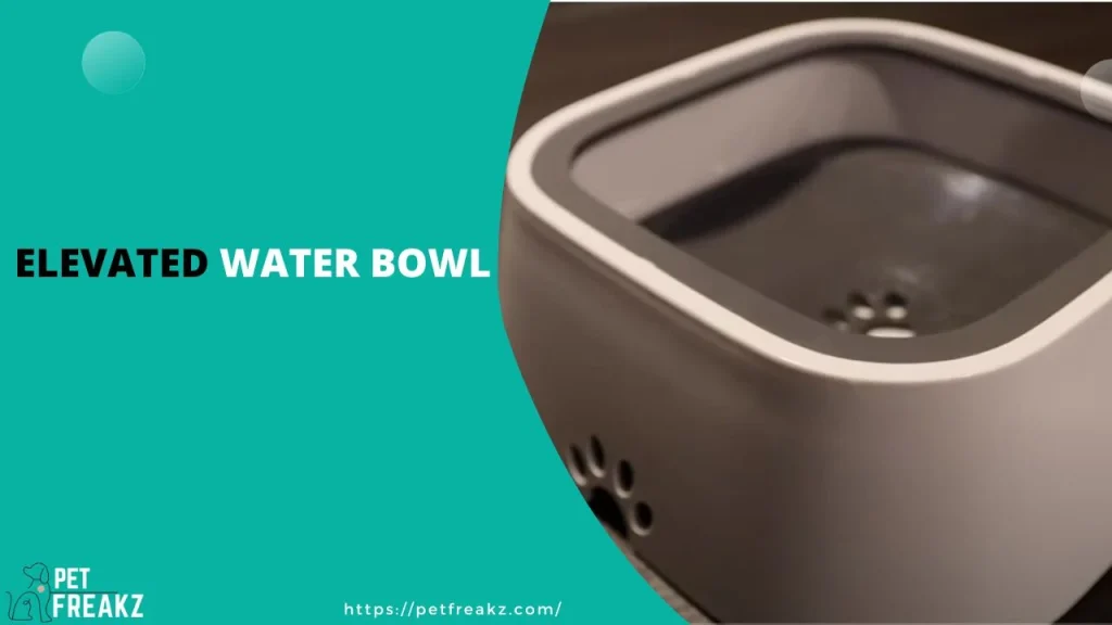 Elevated Water Bowl