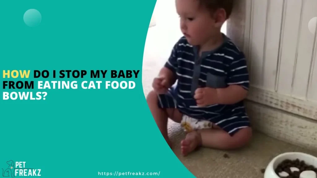 How Do I Stop My Baby From Eating Cat Food Bowls?