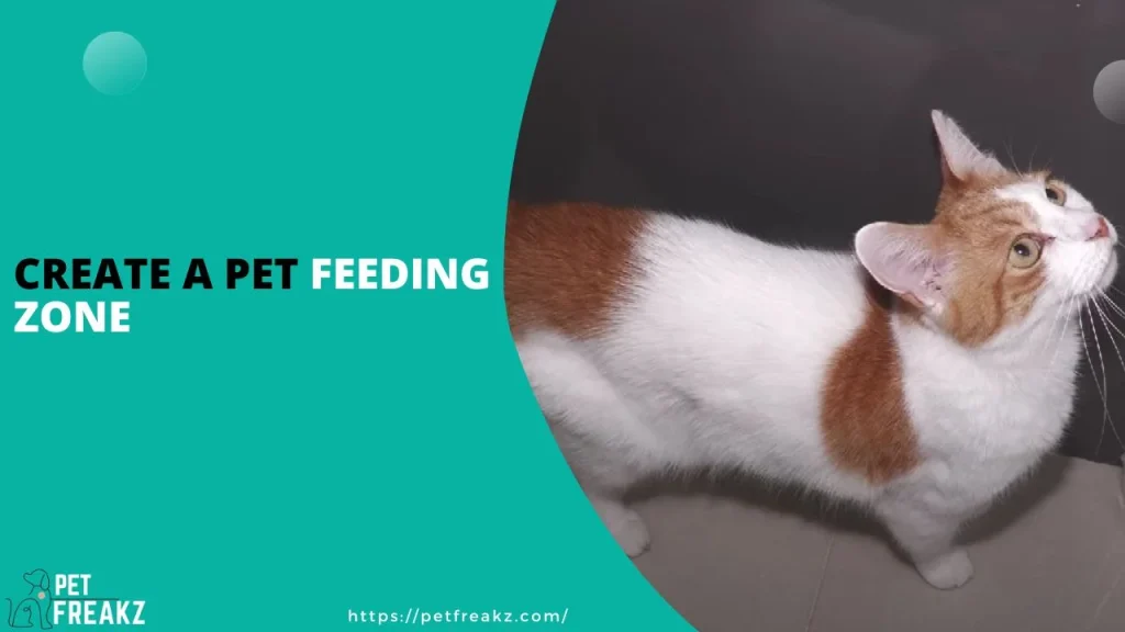 Create a Pet Feeding Zone