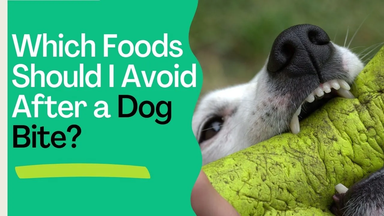 Which Foods Should I Avoid After a Dog Bite?