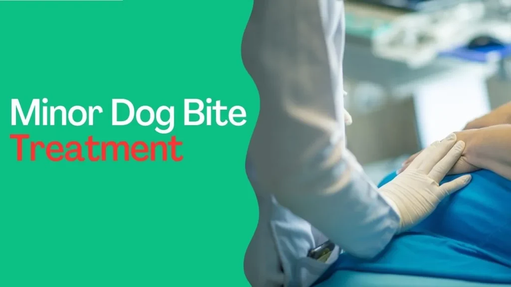 Minor Dog Bite Treatment