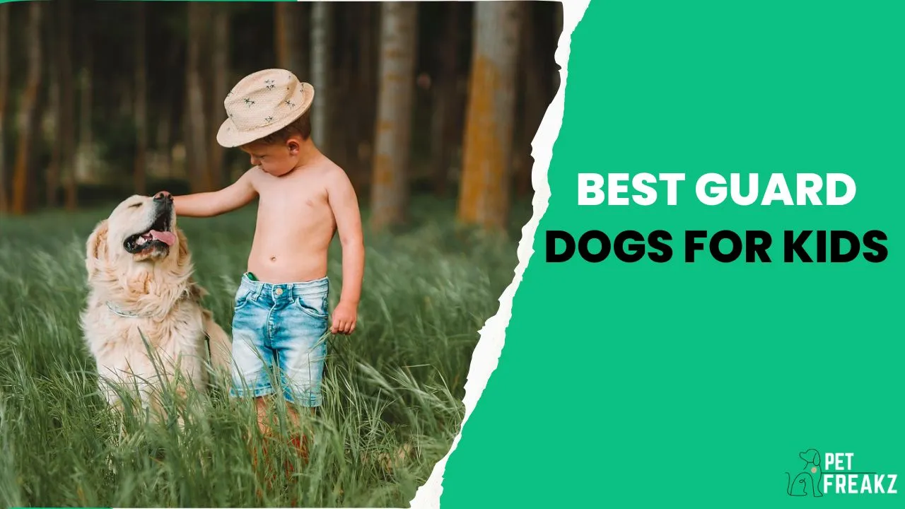 best guard dogs for kids