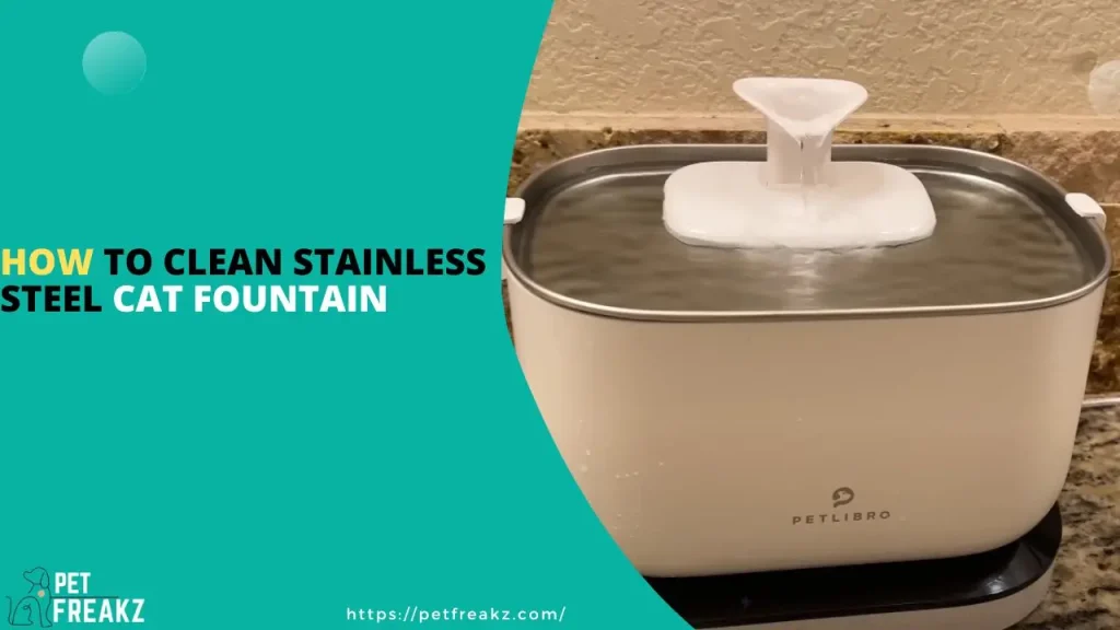 How to Clean Stainless Steel Cat Fountain