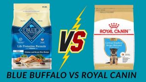 blue buffalo vs royal canin
