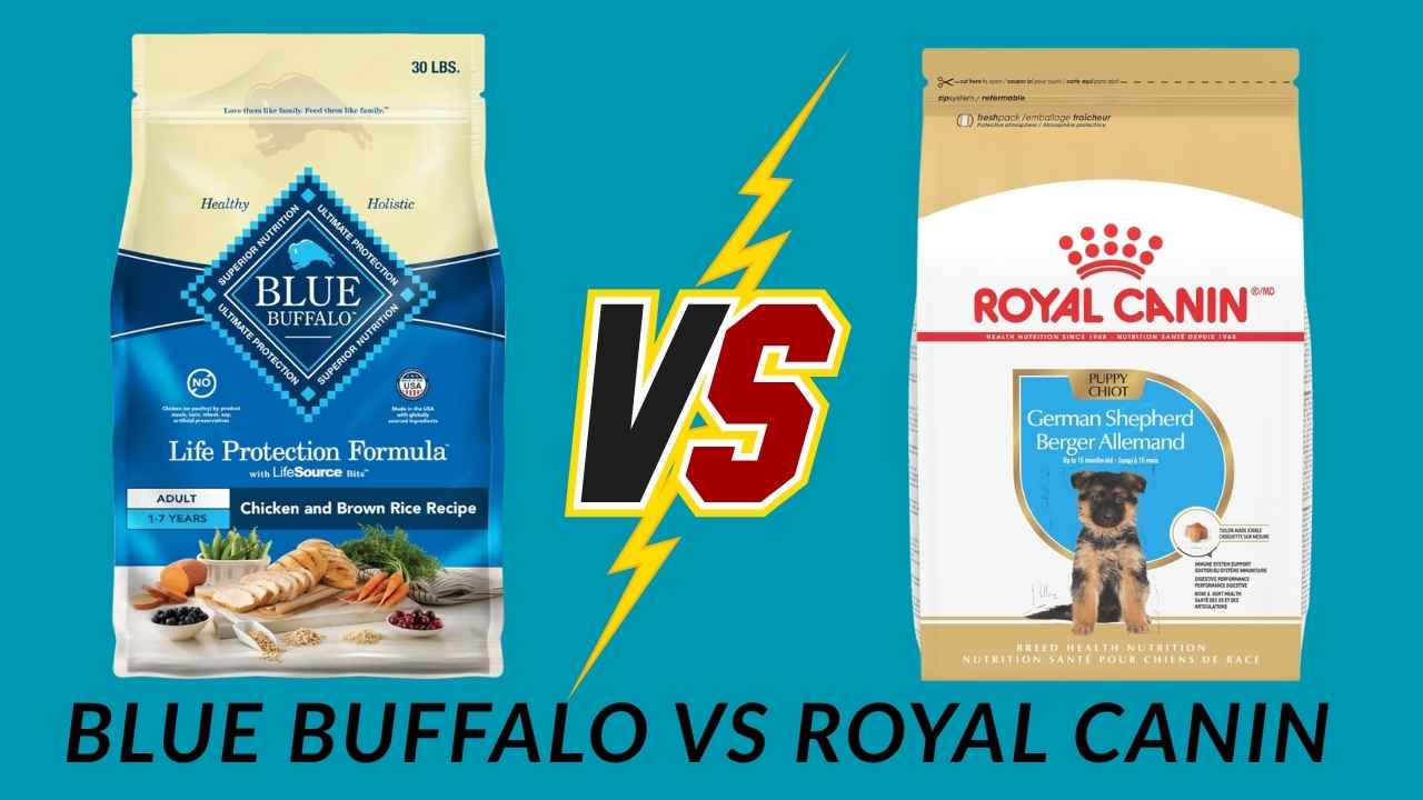 blue buffalo vs royal canin