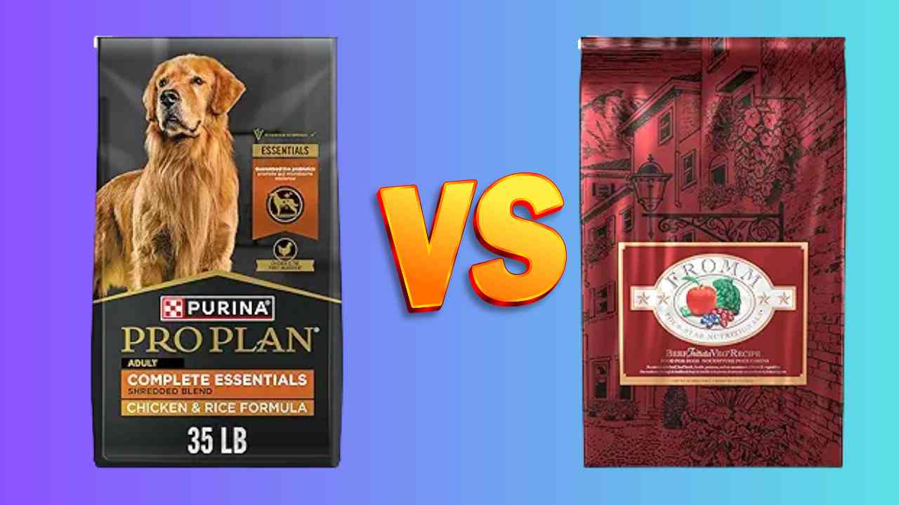 Purina Pro Plan Vs Fromm