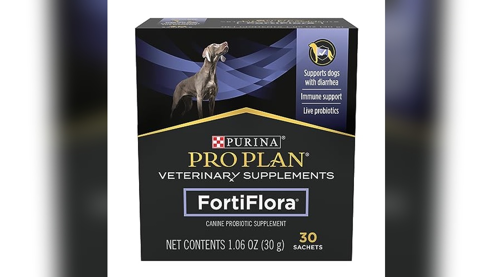 Best Homemade Probiotics for Dogs