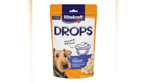 Best Yogurt for Dogs: Top Healthy Treats for Training and Digestion