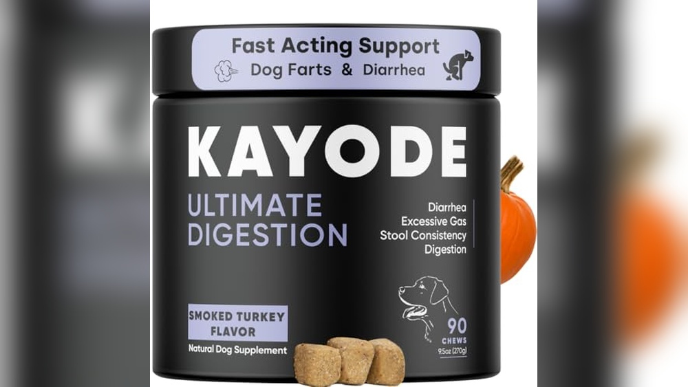 Best Yogurt for Dogs With Diarrhea