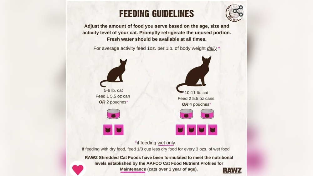 Can You Feed Dogs Wet Cat Food? Risks and Safe Alternatives Explained