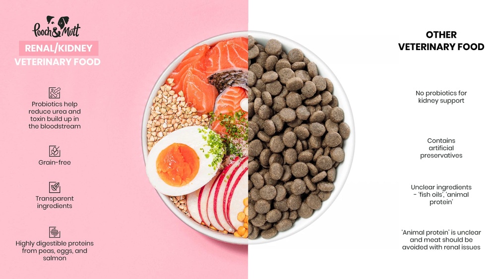 Is Cat Food Bad for Dogs Kidneys? Shocking Truth Revealed!