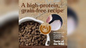 A Taste Of The Wild Dog Food Review: Honest, Powerful Insights