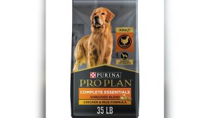 Best Dry Dog Food For Large Dogs: Top Nutritious Picks 2026