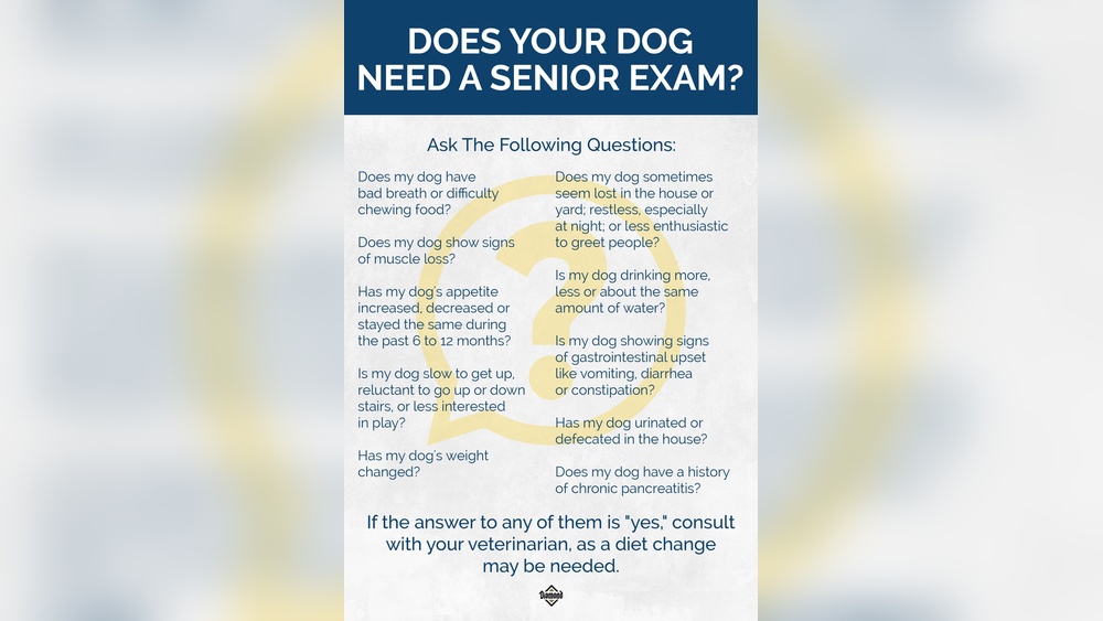 Does My Dog Need Senior Dog Food