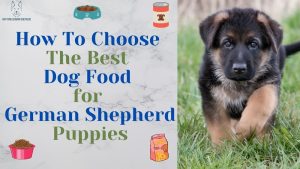 Good Dog Food For German Shepherd Puppies: Top Nutritious Picks