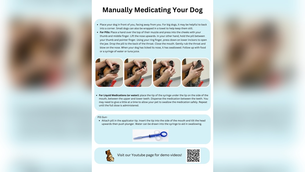 How To Give Dog Pills