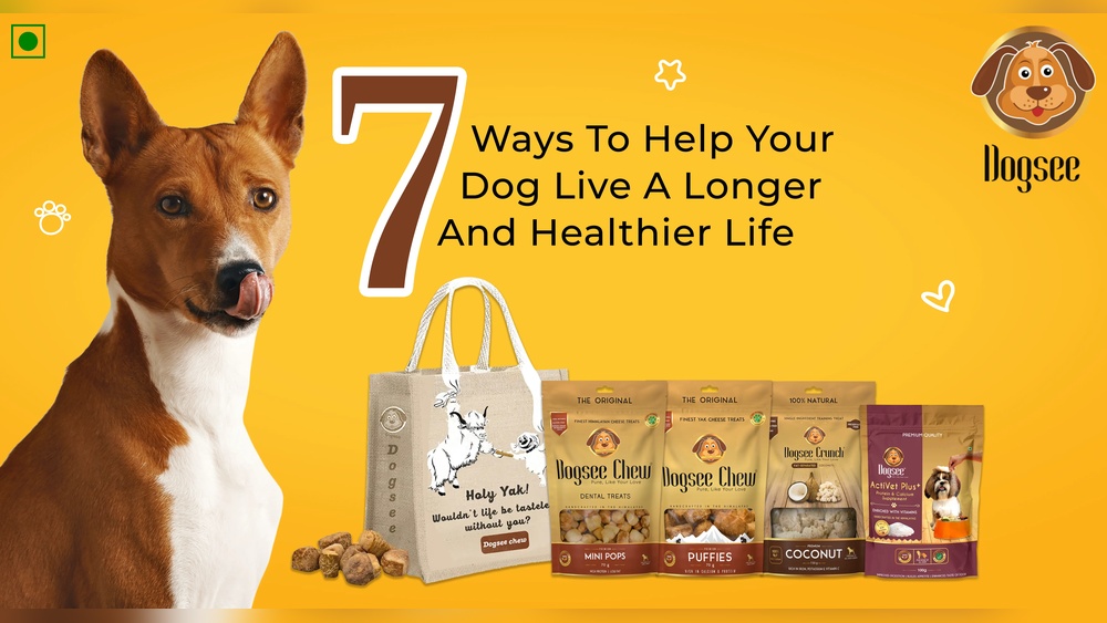How To Help Your Dog Live Longer