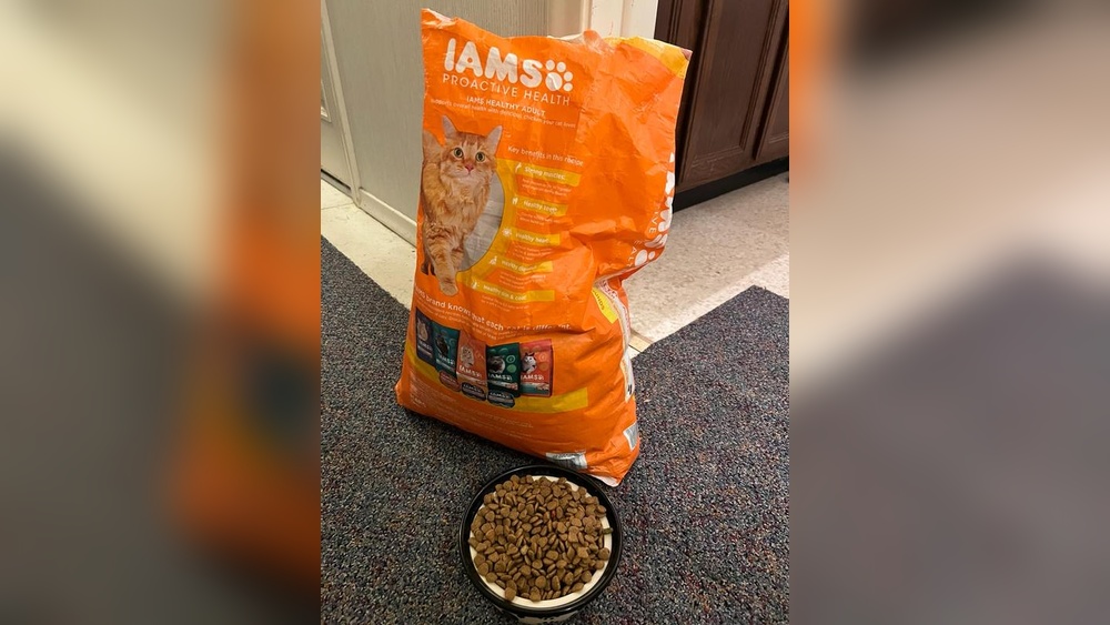 Iams Proactive Health Cat Food Review: Ultimate Nutrition Guide