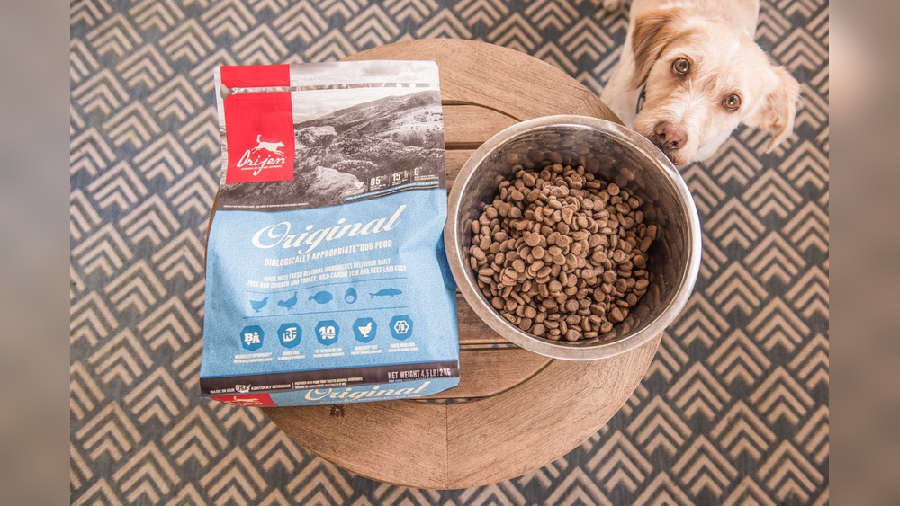 Is Orijen A Good Dog Food: Top Benefits You Must Know