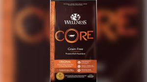 Is Wellness Core A Good Dog Food: Honest Review & Benefits Revealed