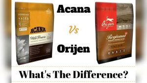 Orijen Vs Acana Dog Food: Ultimate Showdown for Best Nutrition