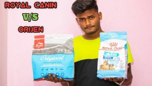 Orijen Vs Royal Canin: Ultimate Pet Food Showdown Revealed