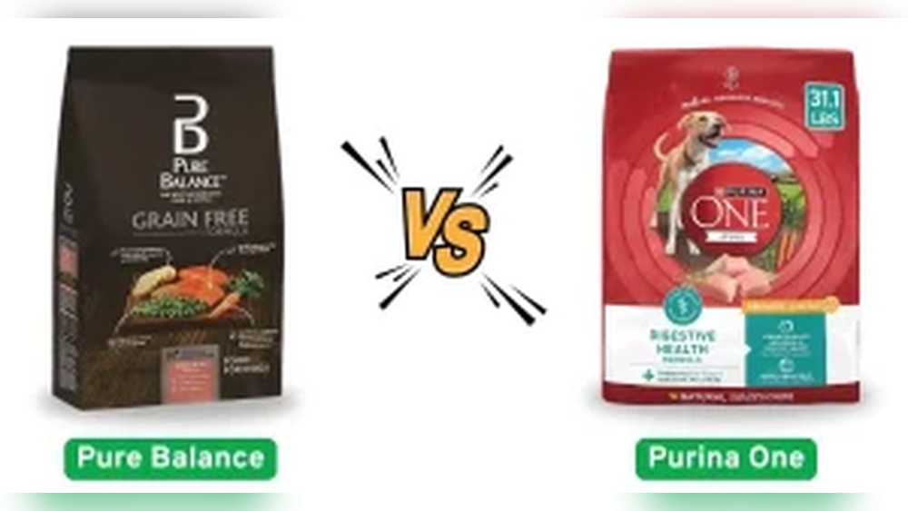 Pure Balance Vs Purina One: Ultimate Pet Food Showdown