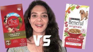 Purina One Vs Beneful: Ultimate Showdown for Your Dog’s Health