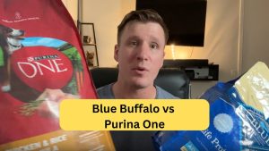 Purina One Vs Blue Buffalo: Ultimate Showdown for Pet Nutrition