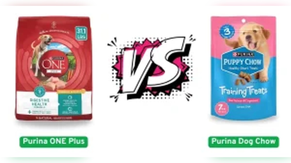 Purina One Vs Purina Dog Chow: Ultimate Showdown for Your Dog’s Health