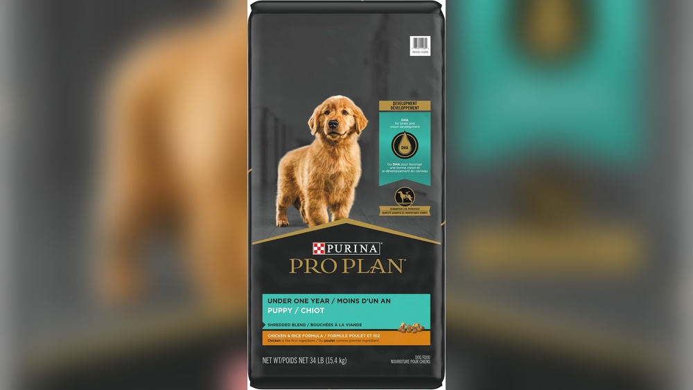 Purina Pro Plan Dog Food Reviews: Honest Insights & Top Benefits