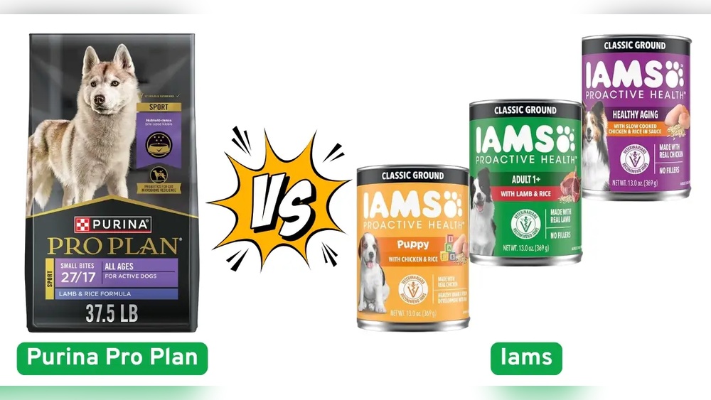 Purina Pro Plan Vs Iams Dog Food: Ultimate Showdown for Your Pup