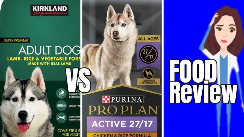 Purina Pro Plan Vs Kirkland Dog Food: Ultimate Showdown for Quality