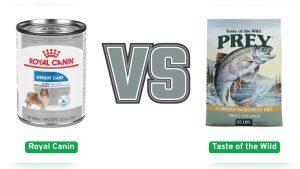 Royal Canin Vs Taste Of The Wild: Ultimate Pet Food Showdown