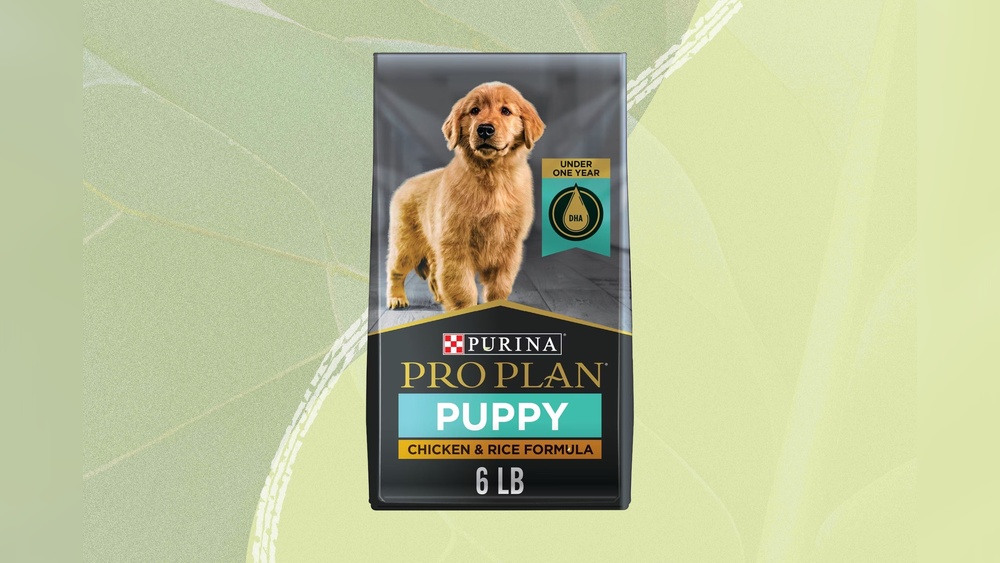 Top Rated Puppy Dry Dog Food: Best Nutritious Choices for Growth