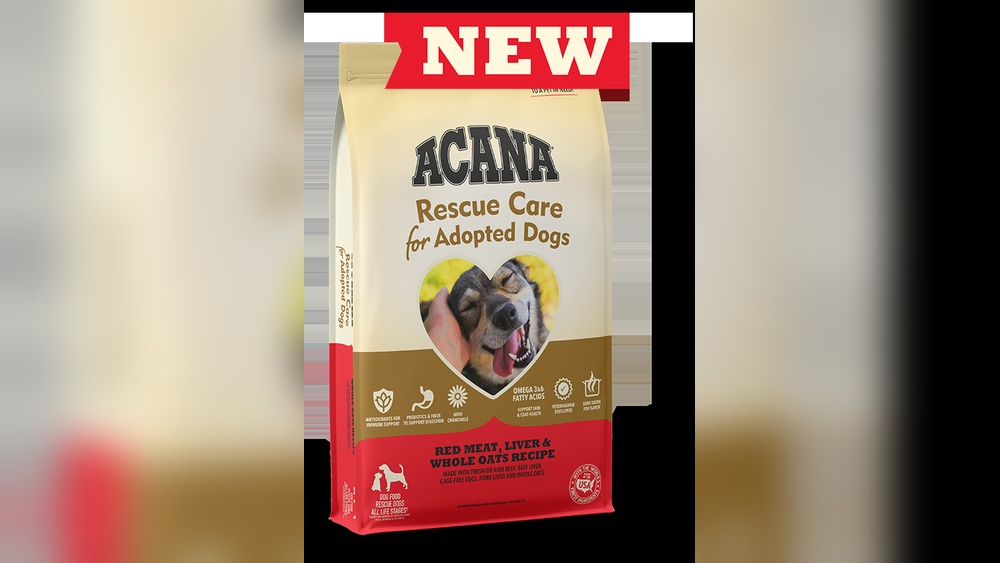 What To Feed A Rescue Dog