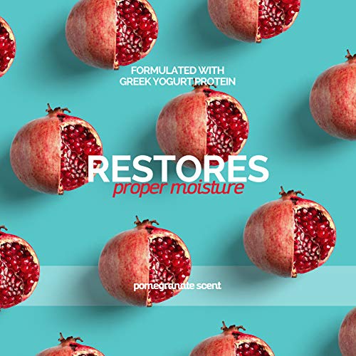 What Brand Of Greek Yogurt Is Good For Dogs