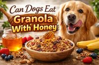 Can Dogs Eat Granola With Honey