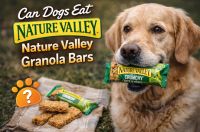 Can Dogs Eat Nature Valley Granola Bars