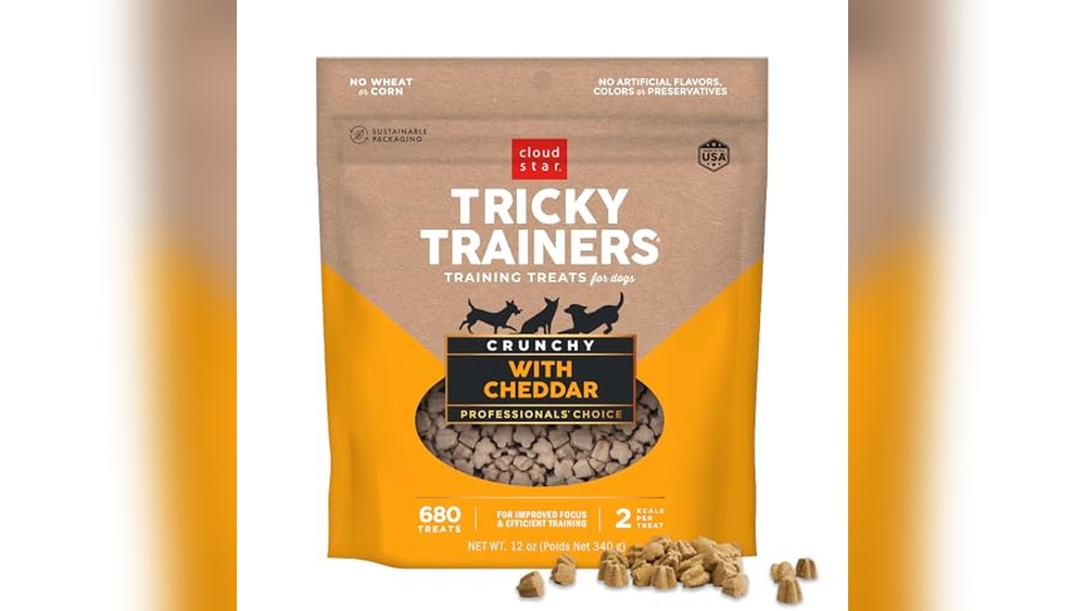 Best Cheese for Dog Training