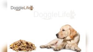 Can Dogs Eat Granola And Yogurt
