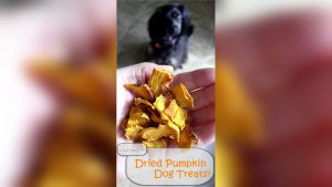How to Make Freeze Dried Pumpkin Dog Treats